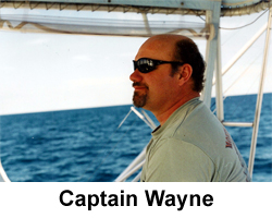 captain wayne goldsmith