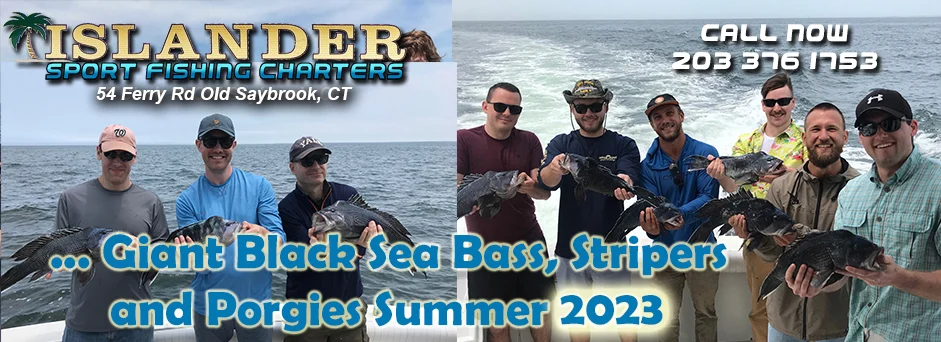 030-Giant-Black-Sea-Bass-Summer-2023